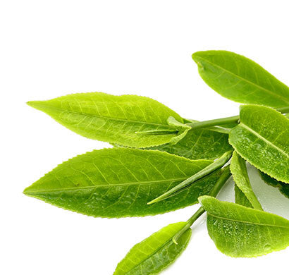 Make a pause and have a cup of tea.